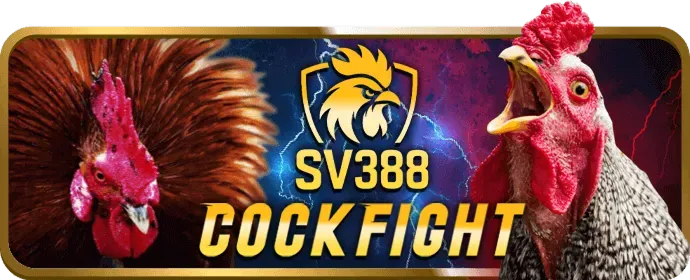 Quà tặng sinh nhật AF88